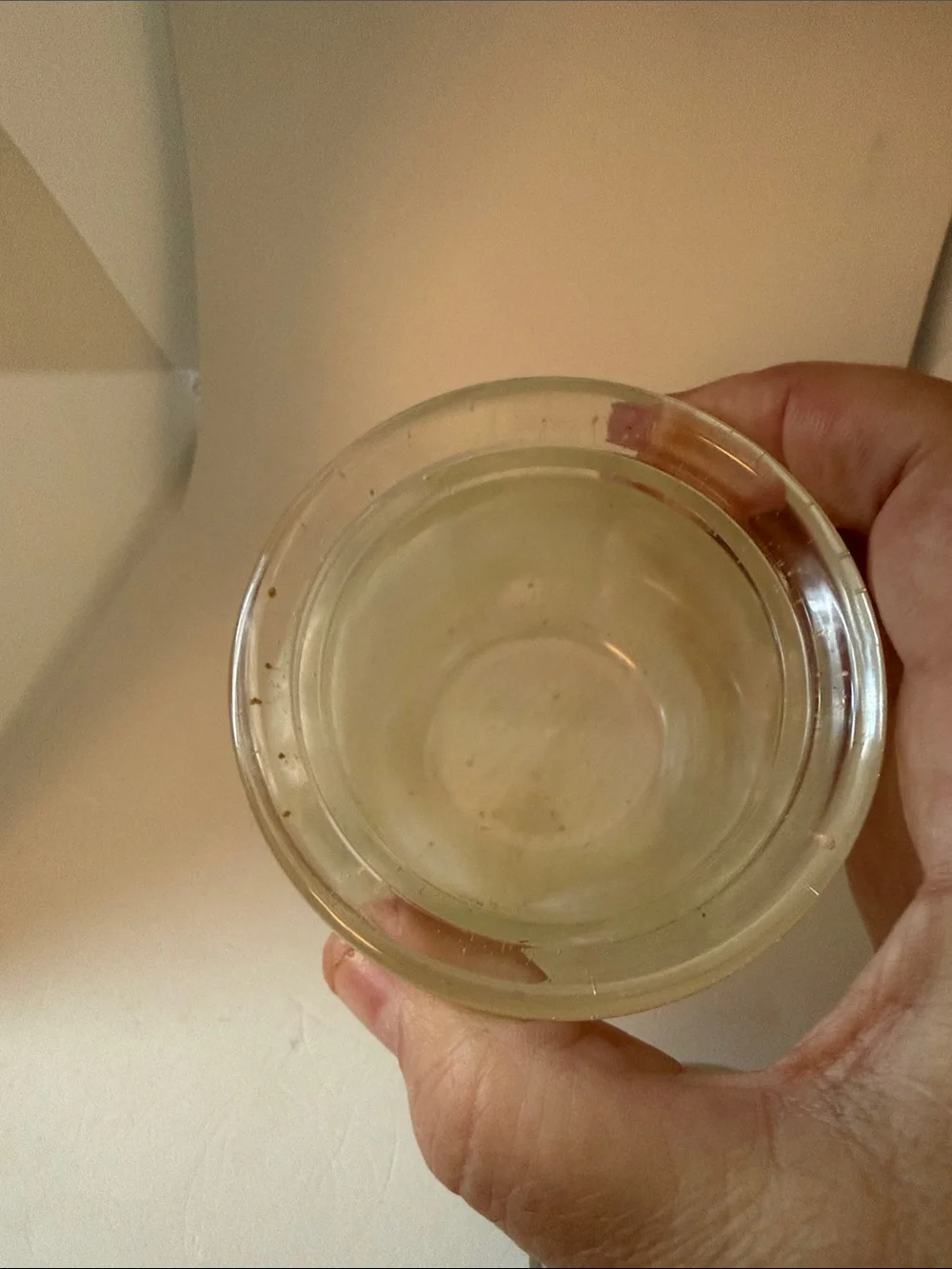 Iridescent Cream Resin Jar with Lid - Decorative Home Accent